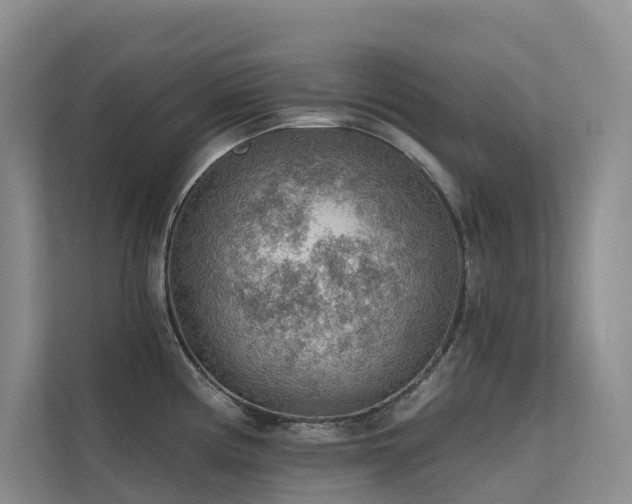 X0000112161194200908071132