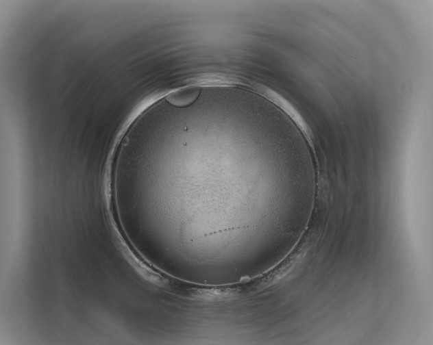 X0000112161195200908071132