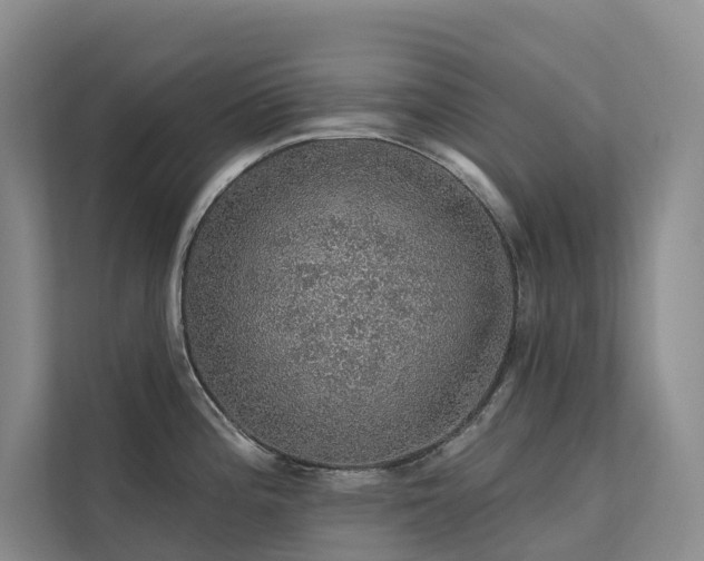 X0000112161196200908071132