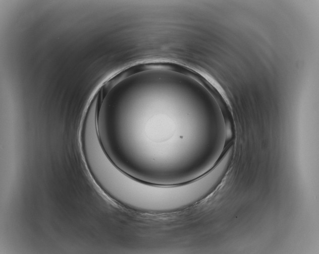 X0000112161197200908071132
