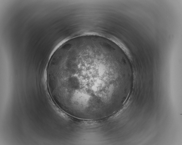 X0000112161198200908071132