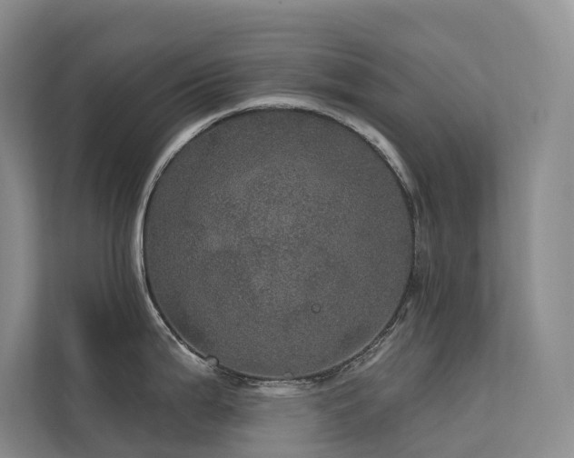 X0000112161199200908071132