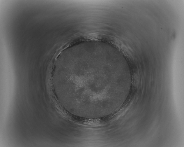 X0000112161201200908071131