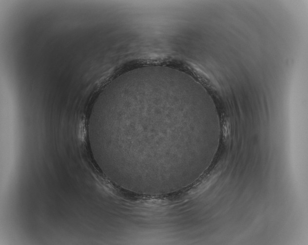 X0000112161204200908071131