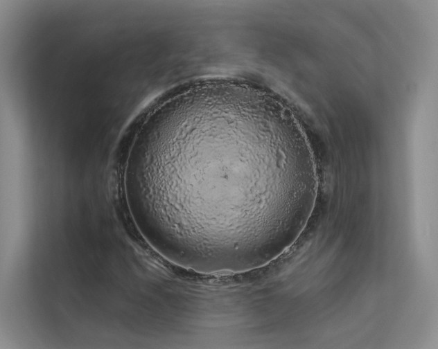 X0000112161208200908071131