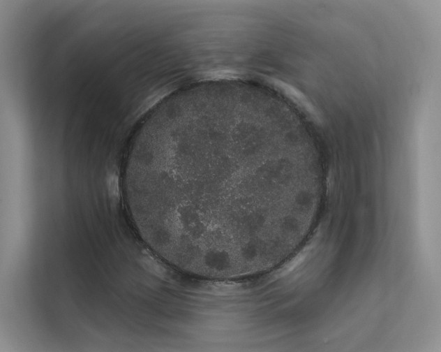 X0000112161209200908071131
