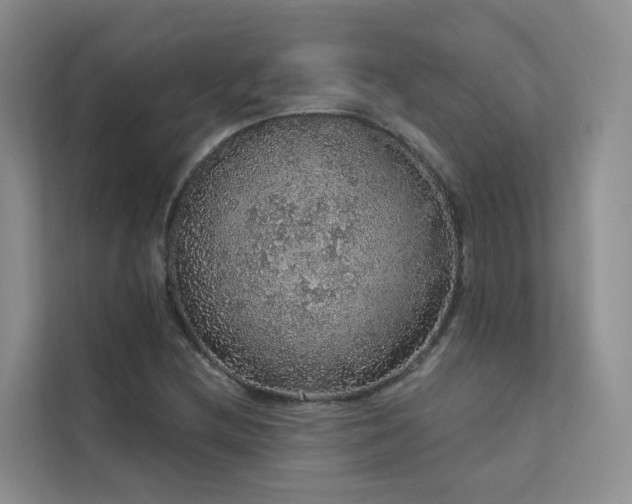 X0000112161212200908071131