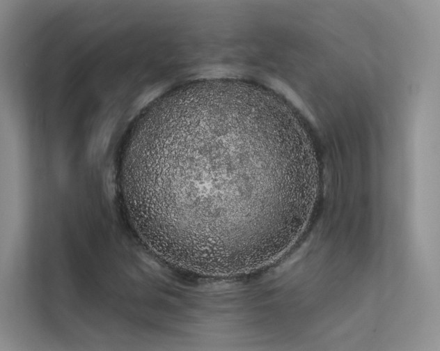 X0000112161213200908071131