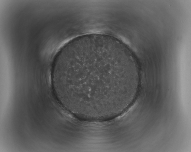 X0000112161214200908071131