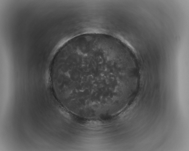 X0000112161215200908071131