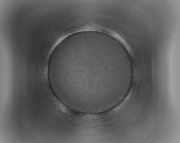 X0000112161216200908071131