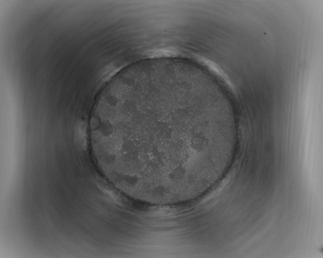 X0000112161217200908071131