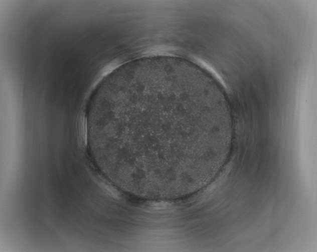 X0000112161219200908071131