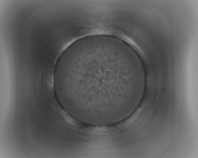 X0000112161220200908071131