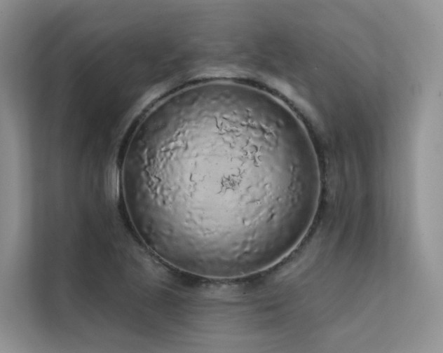 X0000112161221200908071131