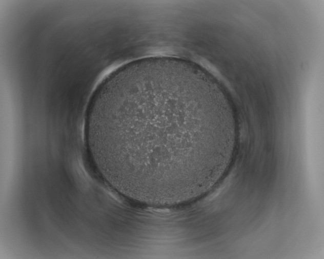 X0000112161222200908071131