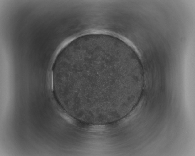 X0000112161223200908071131