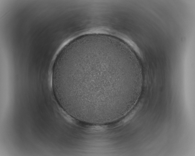 X0000112161224200908071131