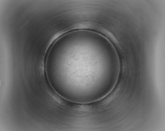 X0000112161226200908071131