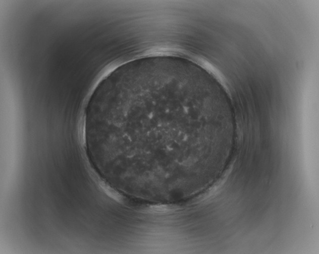 X0000112161227200908071131