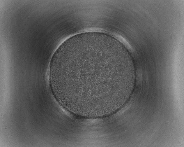 X0000112161228200908071131