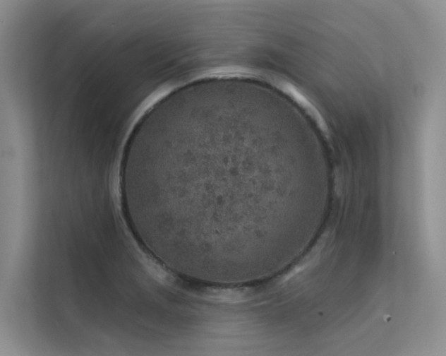 X0000112161229200908071131