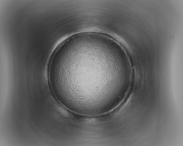 X0000112161230200908071131