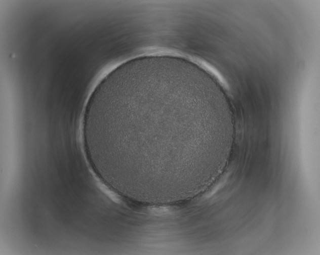 X0000112161231200908071131