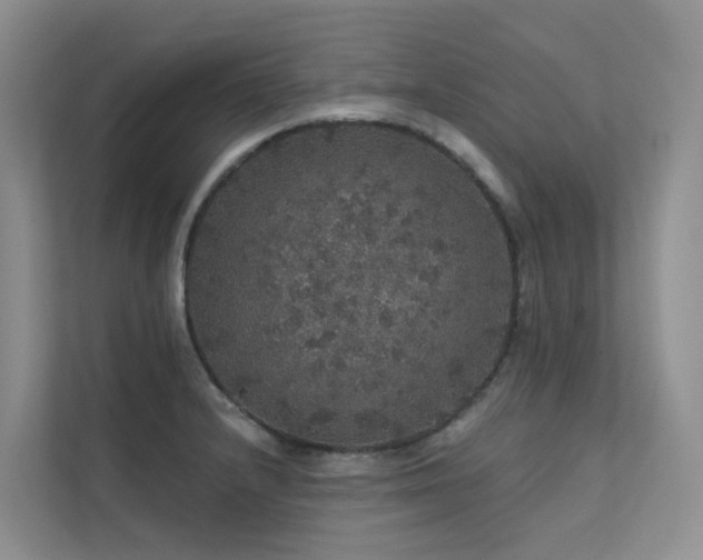 X0000112161232200908071131
