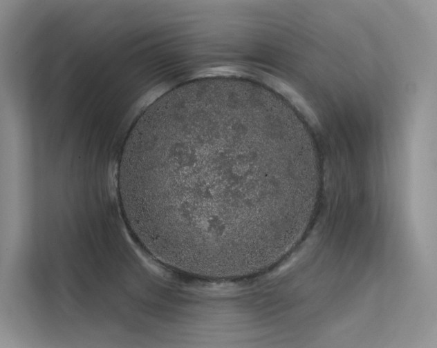 X0000112161233200908071131