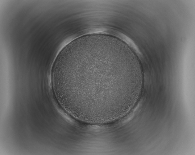 X0000112161234200908071131