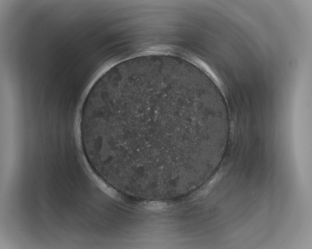 X0000112161235200908071132