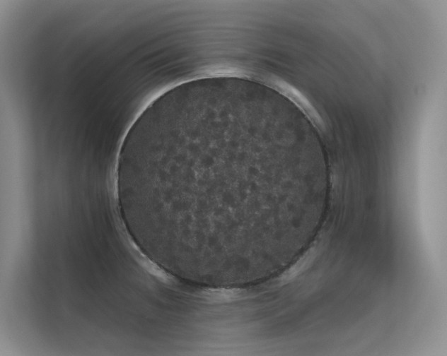 X0000112161236200908071132