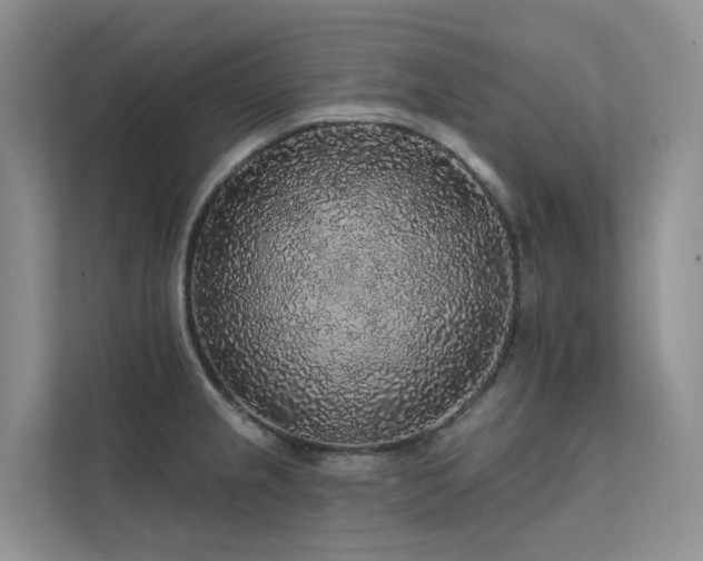 X0000112161237200908071132