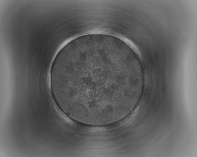 X0000112161238200908071132
