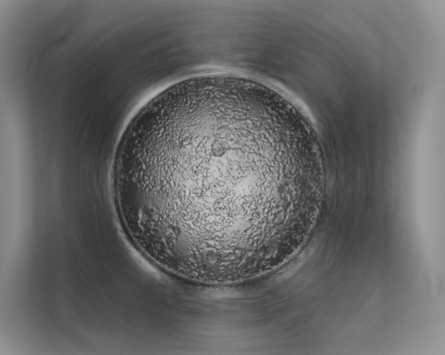 X0000112161239200908071132