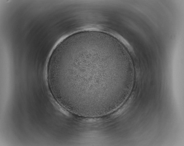 X0000112161240200908071132