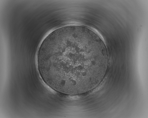 X0000112161243200908071132