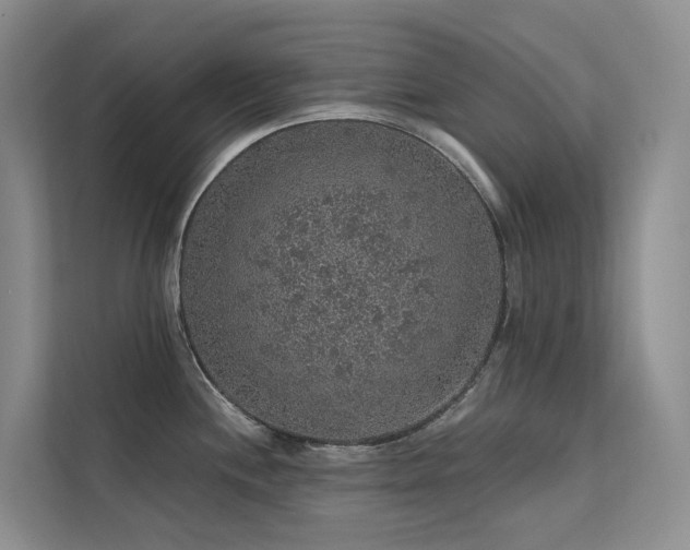X0000112161244200908071132
