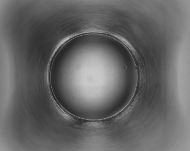 X0000112161246200908071132