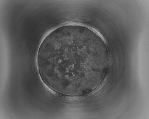 X0000112161247200908071132