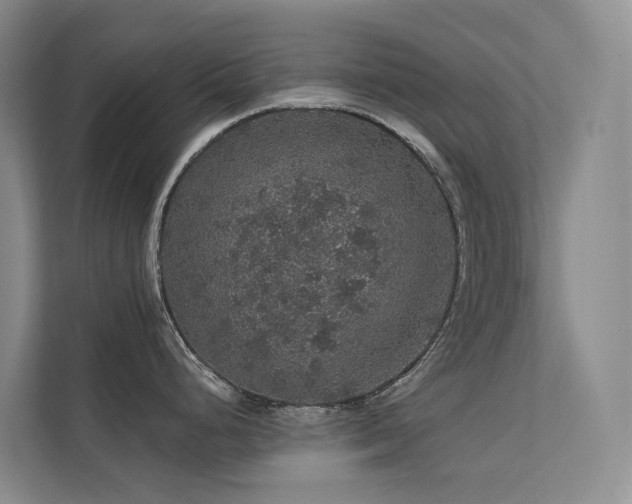 X0000112161248200908071132