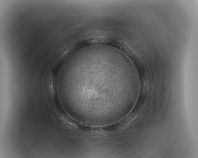 X0000112161250200908071131