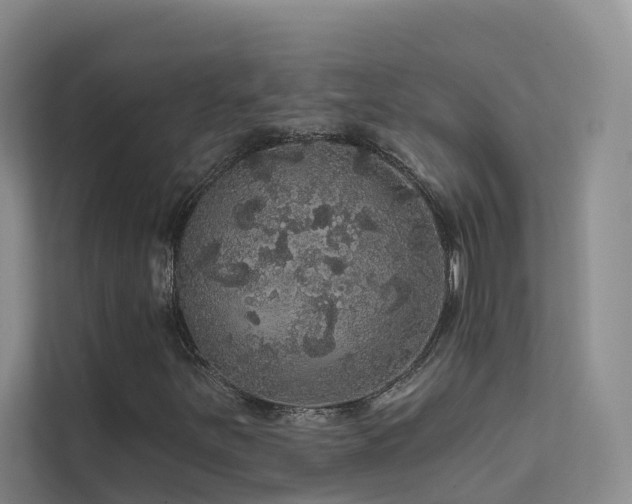 X0000112161251200908071131