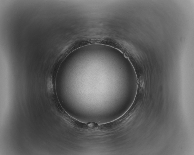X0000112161252200908071131