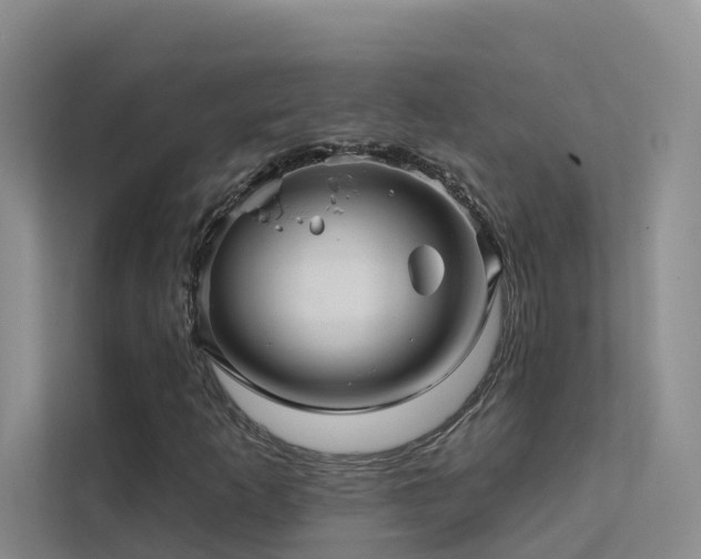X0000112161253200908071131