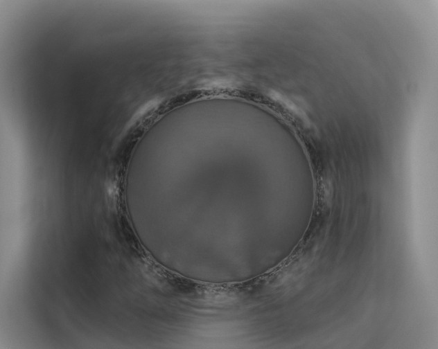 X0000112161254200908071131
