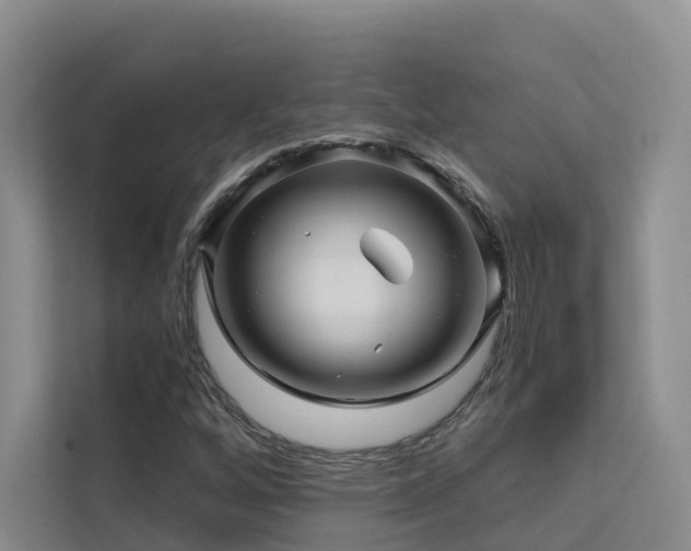 X0000112161256200908071131