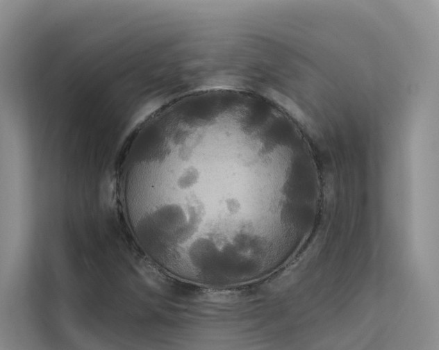 X0000112161258200908071131