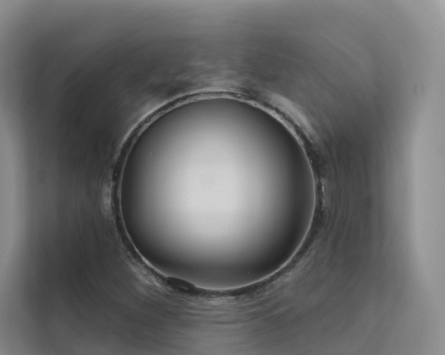 X0000112161260200908071131